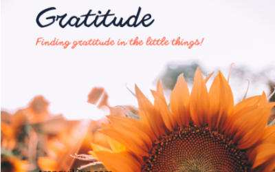 Embracing the Extraordinary in the Ordinary: Finding Gratitude in the Small Things