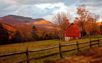 Fall Wellness Practices: Embrace the Stillness with Meditation